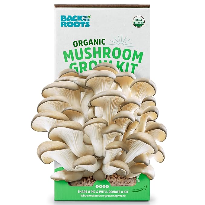 Organic Mushroom Growing Kit