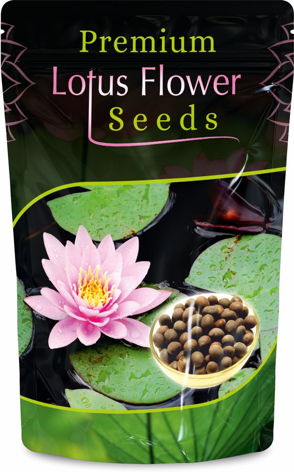 Premium Collection Lotus Flower Seeds