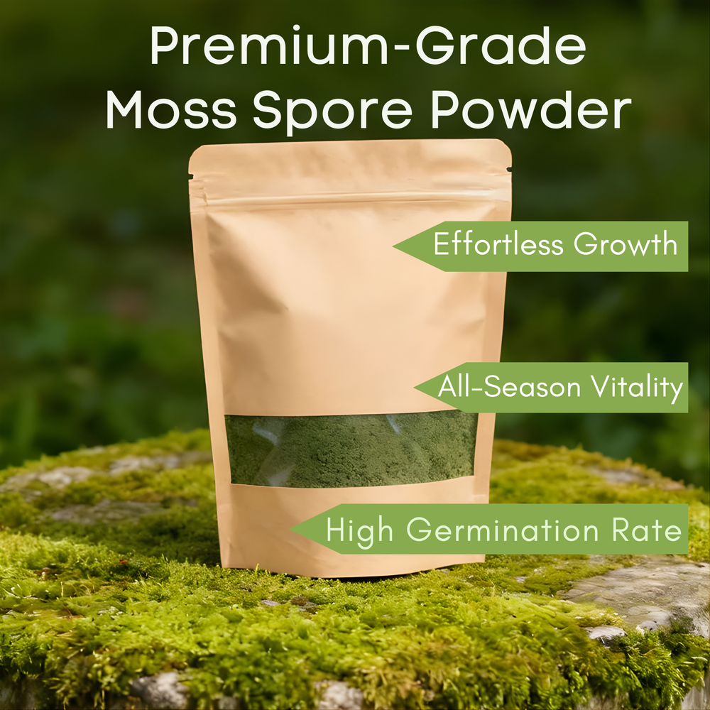 Premium-Grade Moss Spore Powder