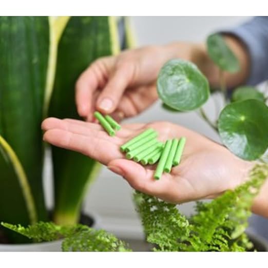Fertilizer Sticks for Pot Plants (Pack of 2)