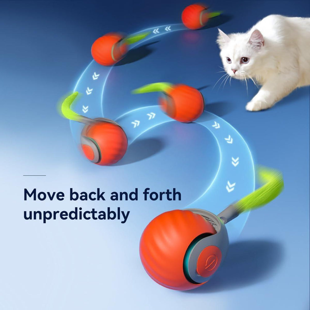 Automatic Rolling Ball Toy for Cats