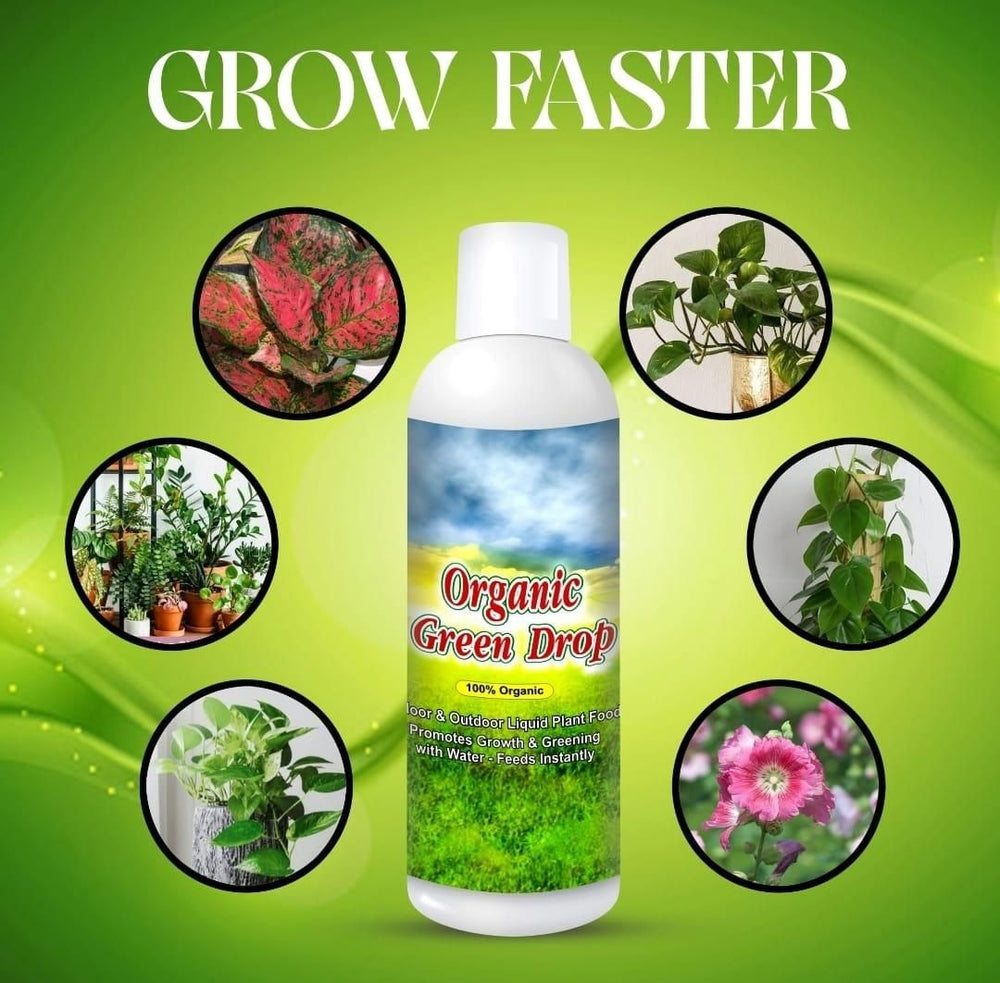 Plant Protection Spray - Buy 1 Get 2 Free