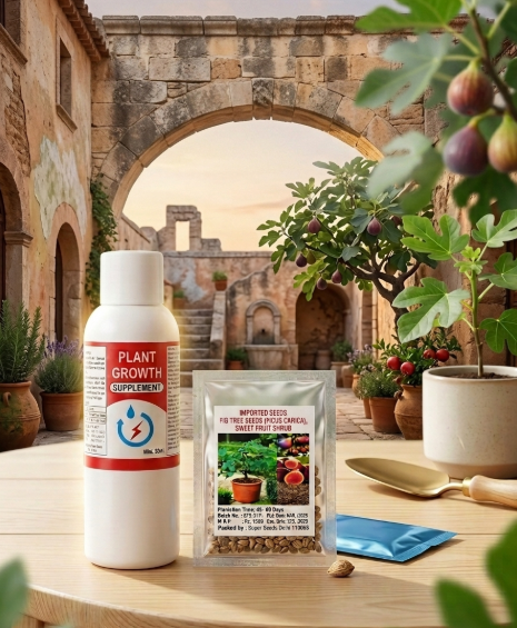 Plant Growth Supplement and Imported Fig Tree Seeds Combo