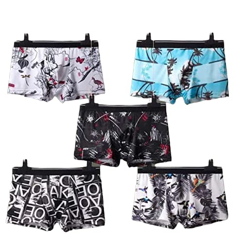 Men's Ultra Soft Material Ice-Silk Men's Shorts Underwear Men's Brief Boxer Free Size ( Pack of 2)